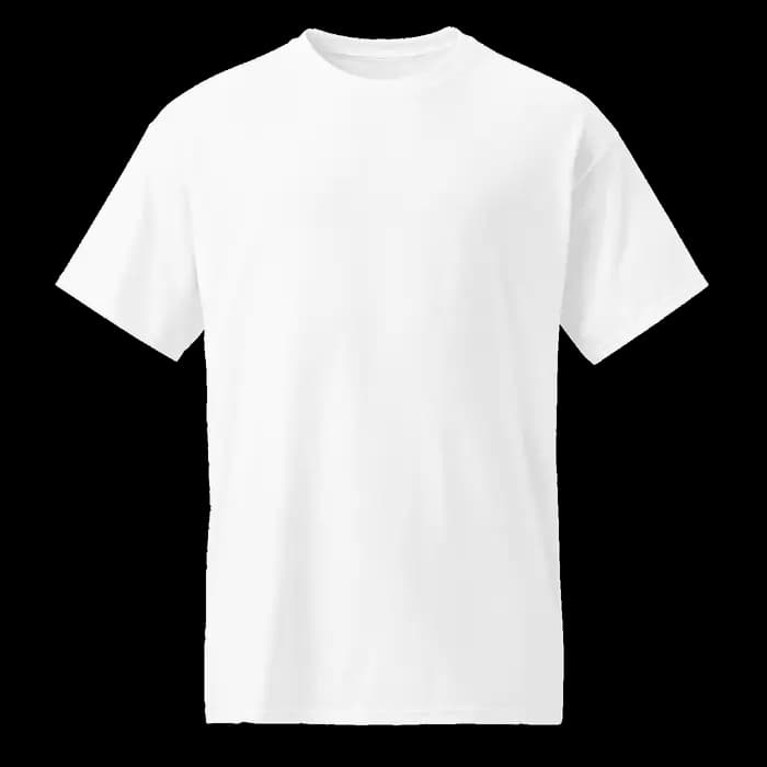 Unisex Sports Tee | Gildan 8000